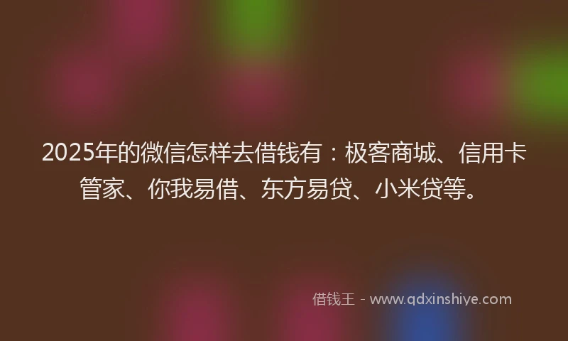 2025年的微信怎样去借钱有：极客商城、信用卡管家、你我易借、东方易贷、小米贷等。