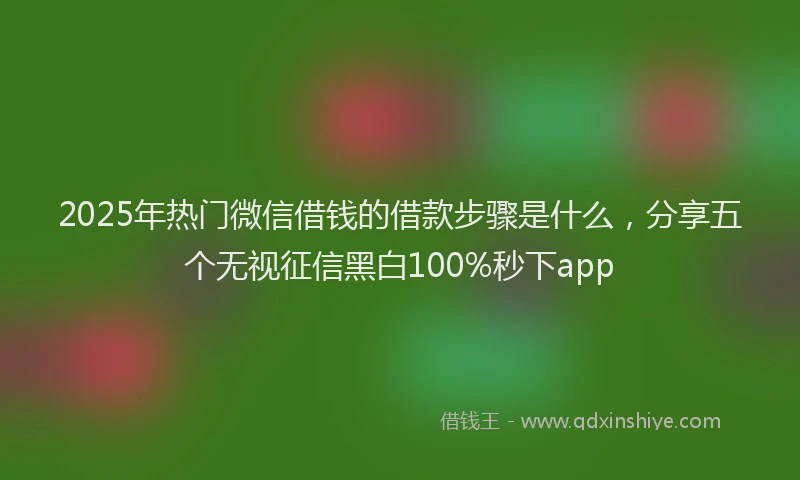 2025年热门微信借钱的借款步骤是什么，分享五个无视征信黑白100%秒下app