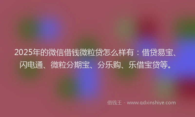 2025年的微信借钱微粒贷怎么样有：借贷易宝、闪电通、微粒分期宝、分乐购、乐借宝贷等。
