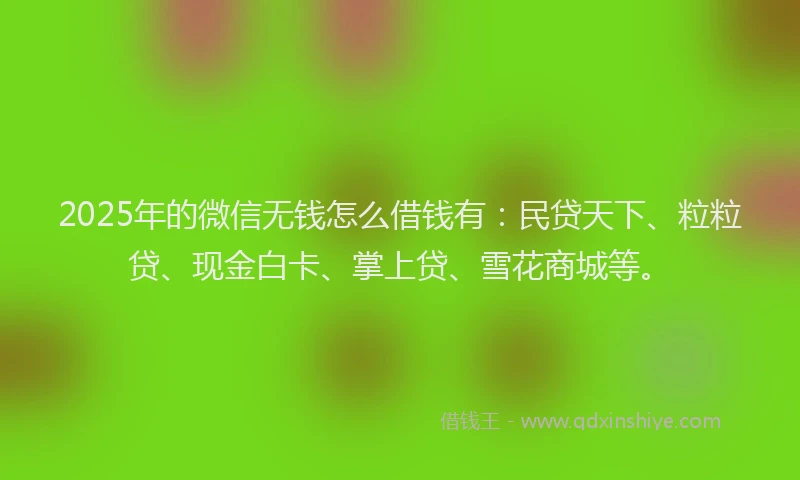 2025年的微信无钱怎么借钱有：民贷天下、粒粒贷、现金白卡、掌上贷、雪花商城等。