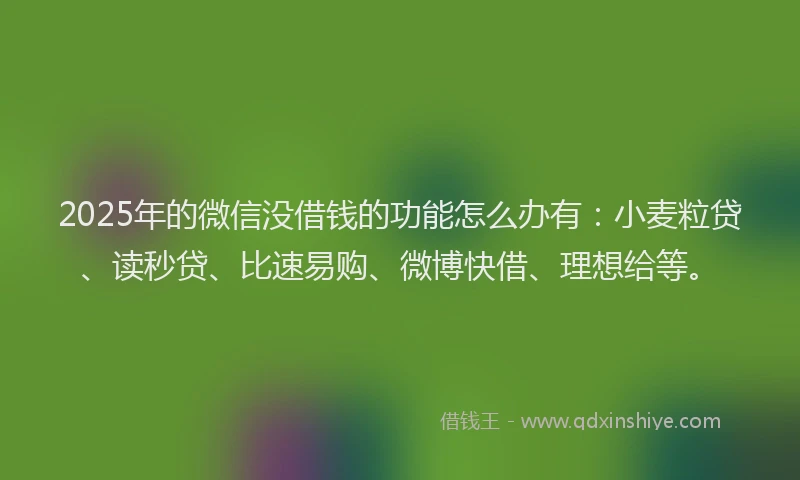 2025年的微信没借钱的功能怎么办有：小麦粒贷、读秒贷、比速易购、微博快借、理想给等。
