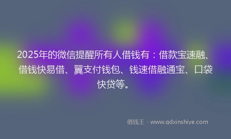 2025年的微信提醒所有人借钱有：借款宝速融、借钱快易借、翼支付钱包、钱速借融通宝、口袋快贷等。