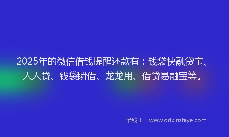 2025年的微信借钱提醒还款有：钱袋快融贷宝、人人贷、钱袋瞬借、龙龙用、借贷易融宝等。