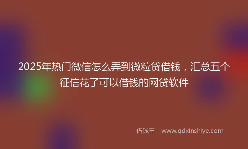 2025年热门微信怎么弄到微粒贷借钱，汇总五个征信花了可以借钱的网贷软件