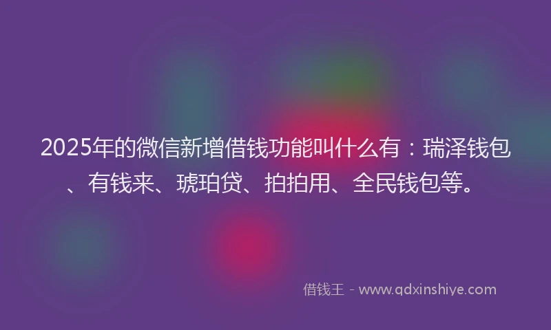2025年的微信新增借钱功能叫什么有：瑞泽钱包、有钱来、琥珀贷、拍拍用、全民钱包等。