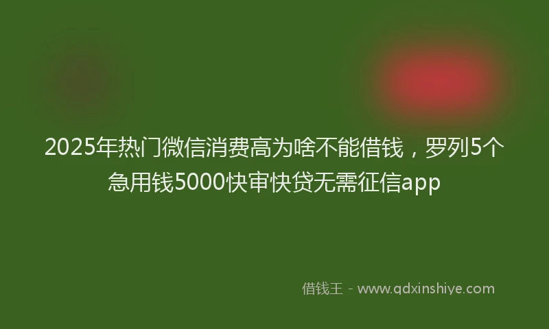 2025年热门微信消费高为啥不能借钱，罗列5个急用钱5000快审快贷无需征信app