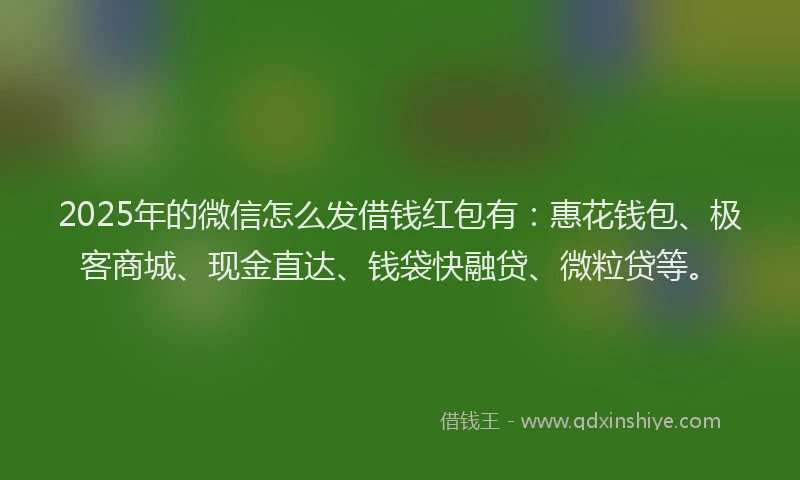 2025年的微信怎么发借钱红包有：惠花钱包、极客商城、现金直达、钱袋快融贷、微粒贷等。