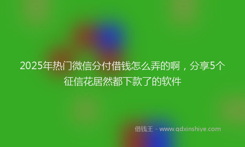 2025年热门微信分付借钱怎么弄的啊，分享5个征信花居然都下款了的软件