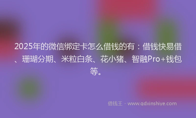 2025年的微信绑定卡怎么借钱的有：借钱快易借、珊瑚分期、米粒白条、花小猪、智融Pro+钱包等。