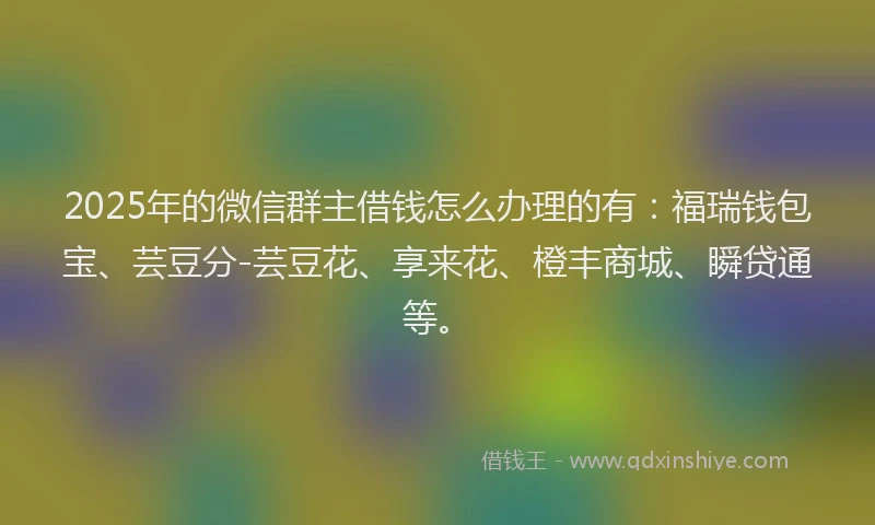 2025年的微信群主借钱怎么办理的有：福瑞钱包宝、芸豆分-芸豆花、享来花、橙丰商城、瞬贷通等。