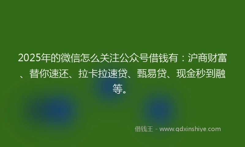 2025年的微信怎么关注公众号借钱有：沪商财富、替你速还、拉卡拉速贷、甄易贷、现金秒到融等。