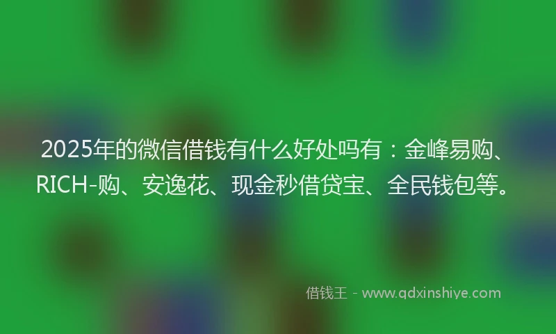 2025年的微信借钱有什么好处吗有：金峰易购、RICH-购、安逸花、现金秒借贷宝、全民钱包等。