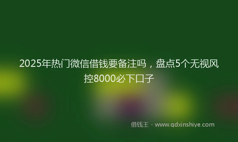 2025年热门微信借钱要备注吗，盘点5个无视风控8000必下口子