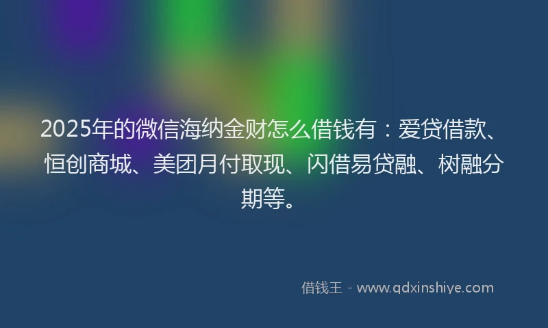 2025年的微信海纳金财怎么借钱有：爱贷借款、恒创商城、美团月付取现、闪借易贷融、树融分期等。