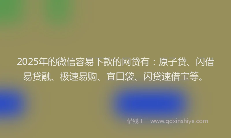 2025年的微信容易下款的网贷有：原子贷、闪借易贷融、极速易购、宜口袋、闪贷速借宝等。