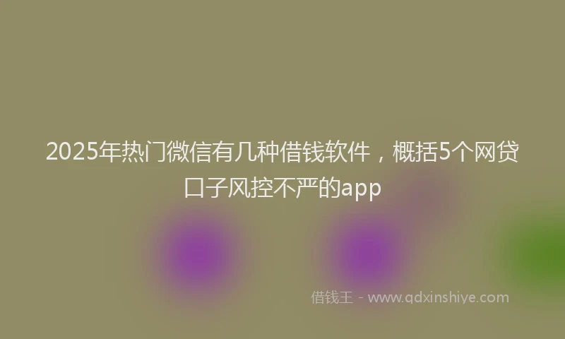 2025年热门微信有几种借钱软件，概括5个网贷口子风控不严的app