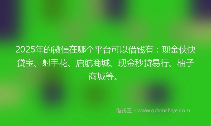2025年的微信在哪个平台可以借钱有：现金侠快贷宝、射手花、启航商城、现金秒贷易行、柚子商城等。