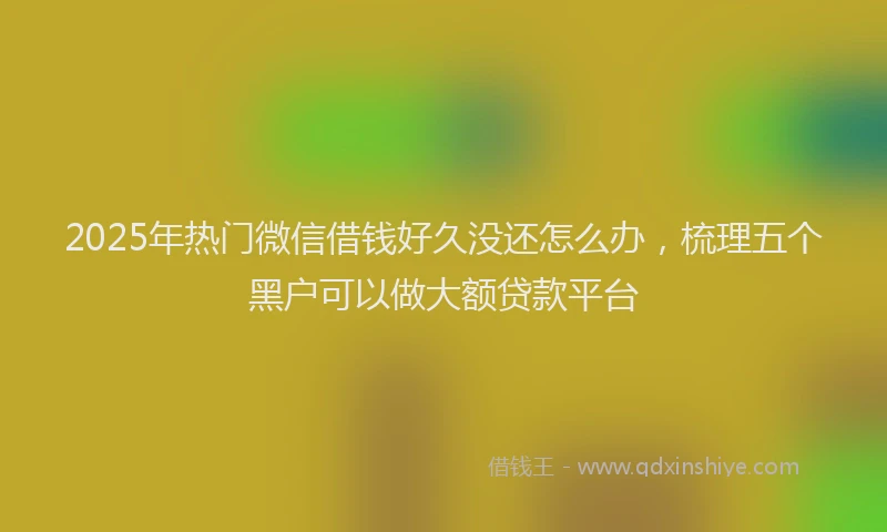2025年热门微信借钱好久没还怎么办，梳理五个黑户可以做大额贷款平台