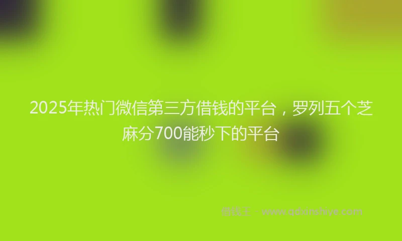 2025年热门微信第三方借钱的平台，罗列五个芝麻分700能秒下的平台