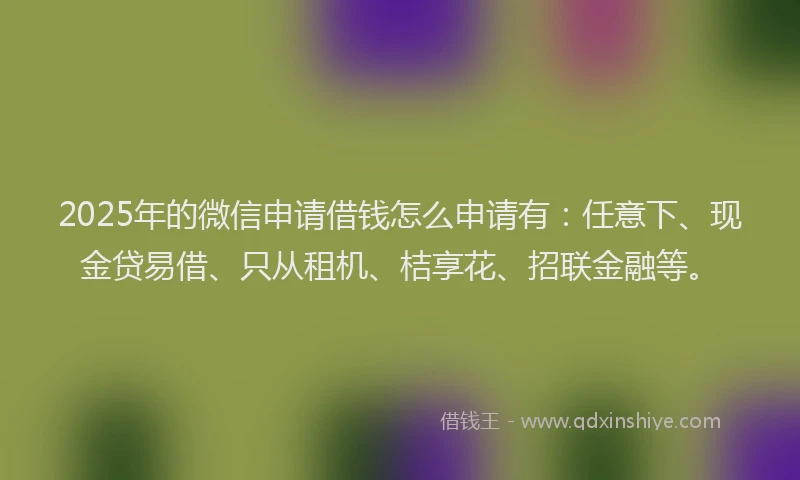 2025年的微信申请借钱怎么申请有：任意下、现金贷易借、只从租机、桔享花、招联金融等。