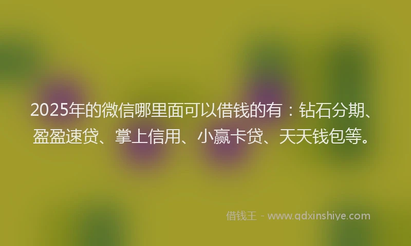 2025年的微信哪里面可以借钱的有：钻石分期、盈盈速贷、掌上信用、小赢卡贷、天天钱包等。