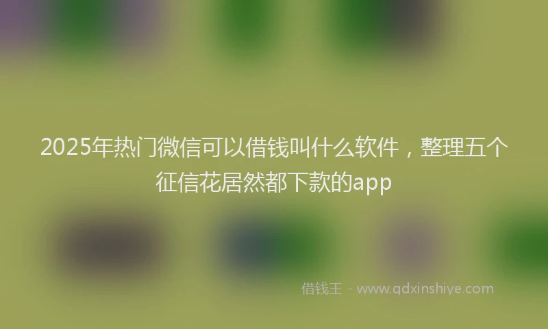 2025年热门微信可以借钱叫什么软件，整理五个征信花居然都下款的app
