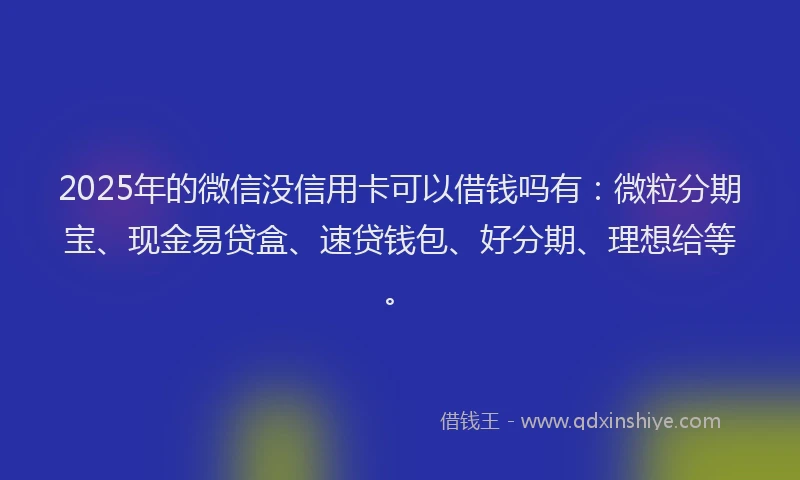2025年的微信没信用卡可以借钱吗有：微粒分期宝、现金易贷盒、速贷钱包、好分期、理想给等。