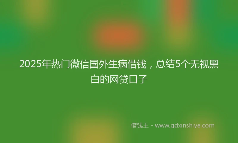 2025年热门微信国外生病借钱，总结5个无视黑白的网贷口子