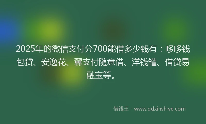 2025年的微信支付分700能借多少钱有：哆哆钱包贷、安逸花、翼支付随意借、洋钱罐、借贷易融宝等。