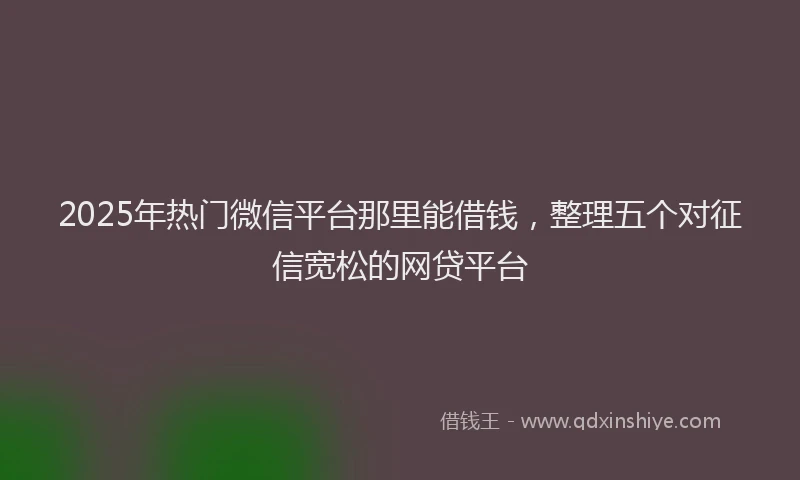 2025年热门微信平台那里能借钱，整理五个对征信宽松的网贷平台