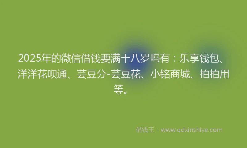 2025年的微信借钱要满十八岁吗有：乐享钱包、洋洋花呗通、芸豆分-芸豆花、小铭商城、拍拍用等。