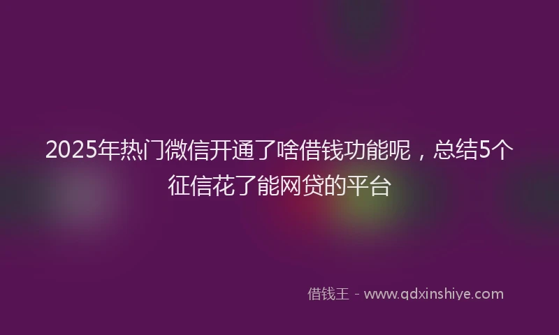 2025年热门微信开通了啥借钱功能呢，总结5个征信花了能网贷的平台