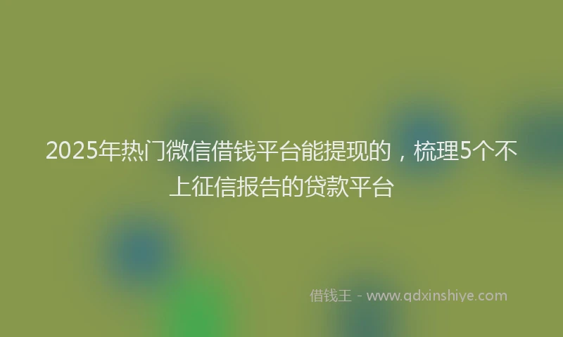 2025年热门微信借钱平台能提现的，梳理5个不上征信报告的贷款平台