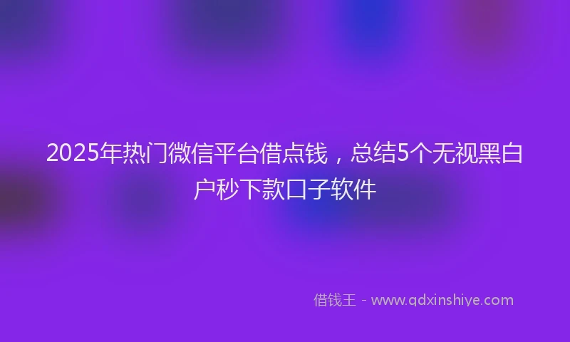2025年热门微信平台借点钱，总结5个无视黑白户秒下款口子软件