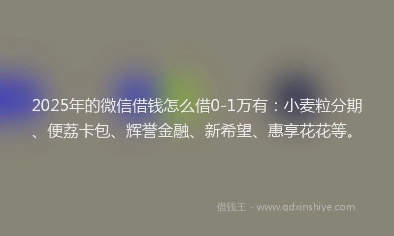 2025年的微信借钱怎么借0-1万有：小麦粒分期、便荔卡包、辉誉金融、新希望、惠享花花等。