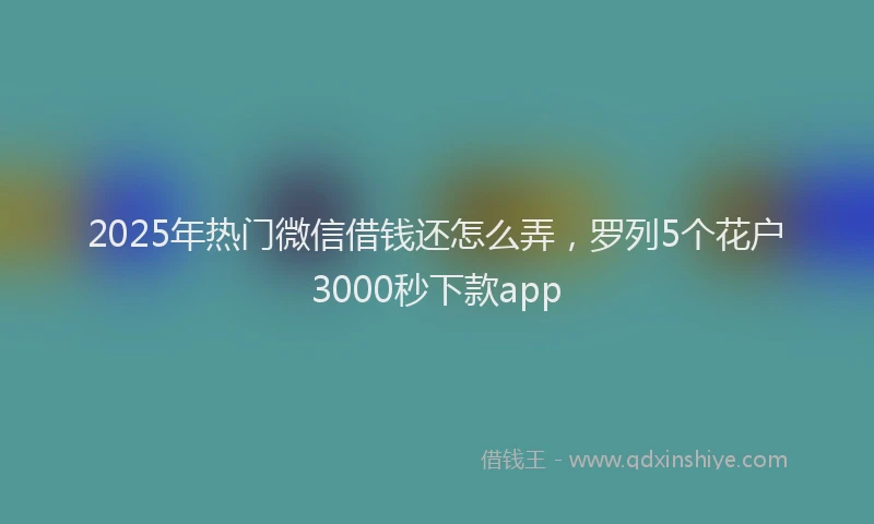 2025年热门微信借钱还怎么弄，罗列5个花户3000秒下款app
