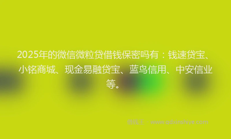 2025年的微信微粒贷借钱保密吗有：钱速贷宝、小铭商城、现金易融贷宝、蓝鸟信用、中安信业等。