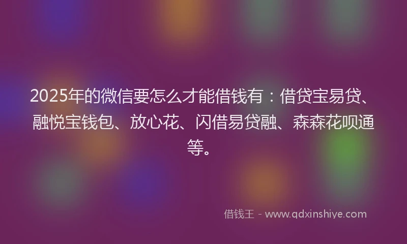2025年的微信要怎么才能借钱有：借贷宝易贷、融悦宝钱包、放心花、闪借易贷融、森森花呗通等。