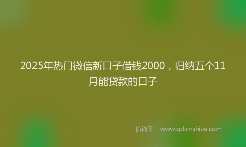 2025年热门微信新口子借钱2000，归纳五个11月能贷款的口子