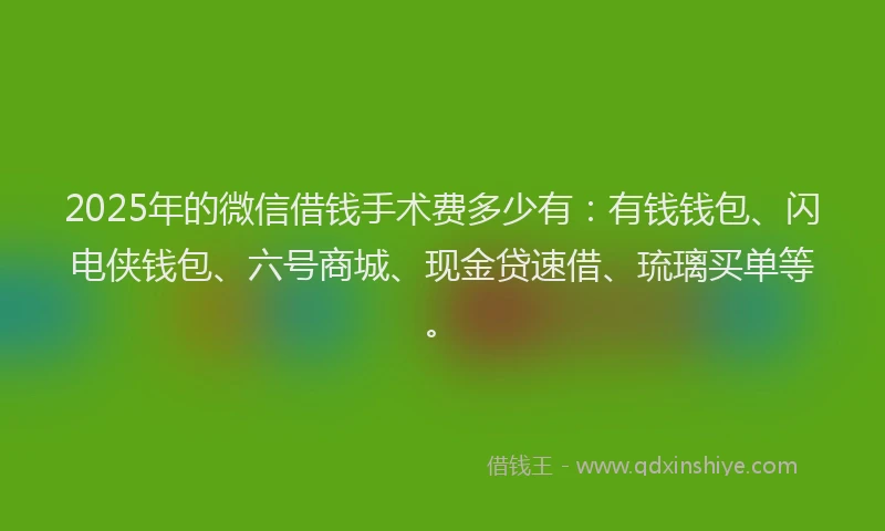 2025年的微信借钱手术费多少有：有钱钱包、闪电侠钱包、六号商城、现金贷速借、琉璃买单等。