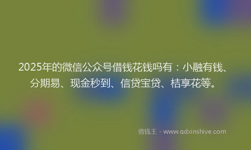 2025年的微信公众号借钱花钱吗有：小融有钱、分期易、现金秒到、信贷宝贷、桔享花等。