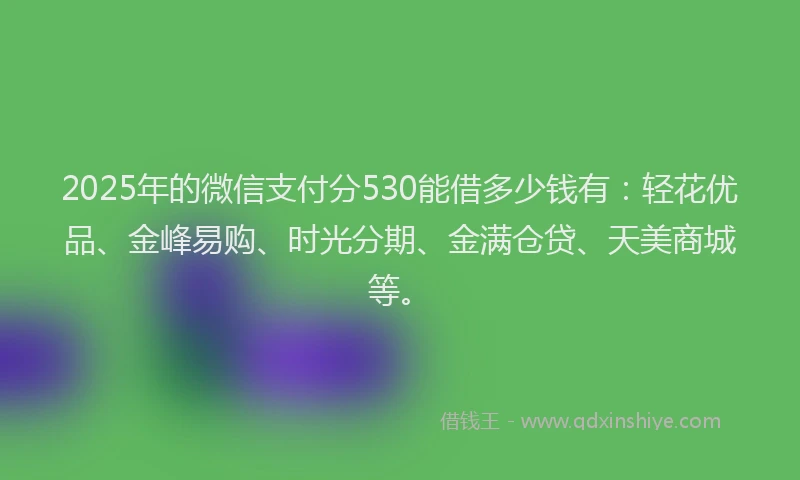 2025年的微信支付分530能借多少钱有：轻花优品、金峰易购、时光分期、金满仓贷、天美商城等。