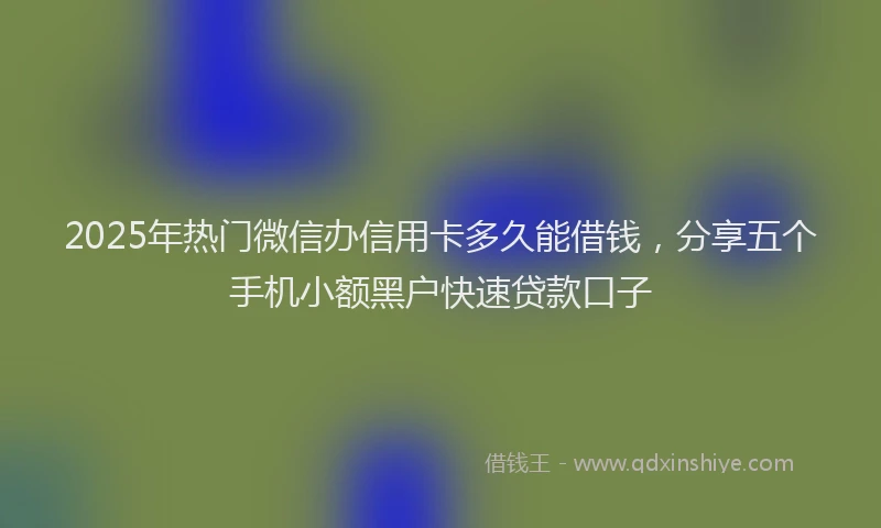 2025年热门微信办信用卡多久能借钱，分享五个手机小额黑户快速贷款口子