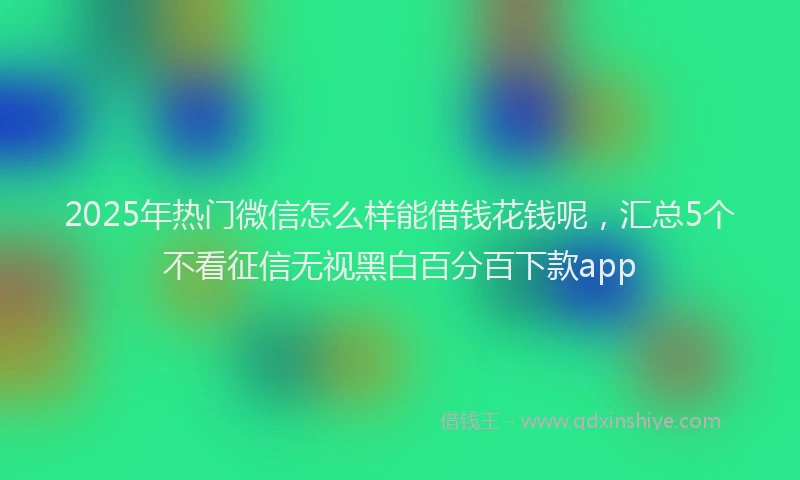 2025年热门微信怎么样能借钱花钱呢，汇总5个不看征信无视黑白百分百下款app