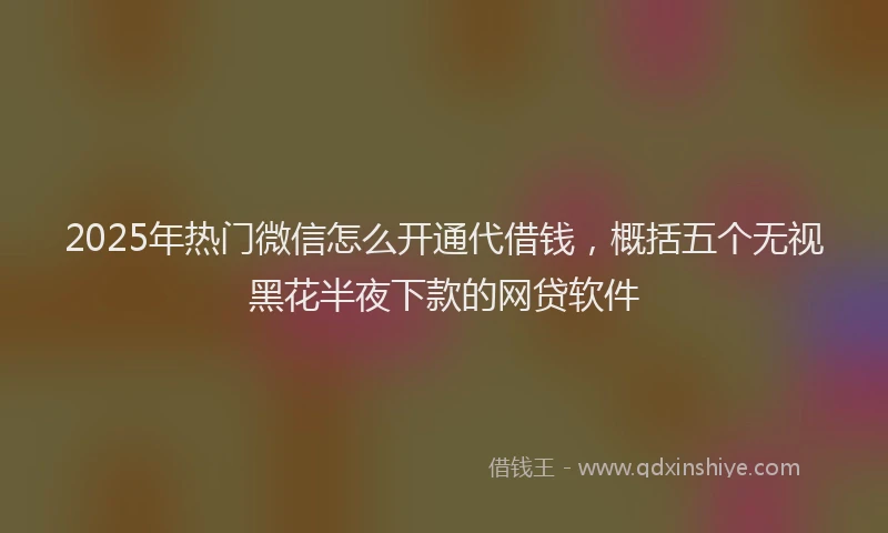 2025年热门微信怎么开通代借钱，概括五个无视黑花半夜下款的网贷软件