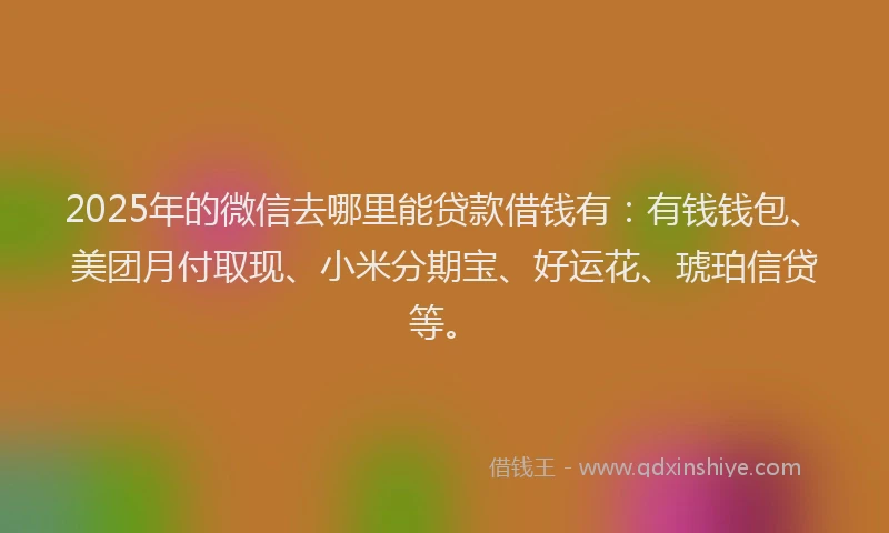 2025年的微信去哪里能贷款借钱有：有钱钱包、美团月付取现、小米分期宝、好运花、琥珀信贷等。