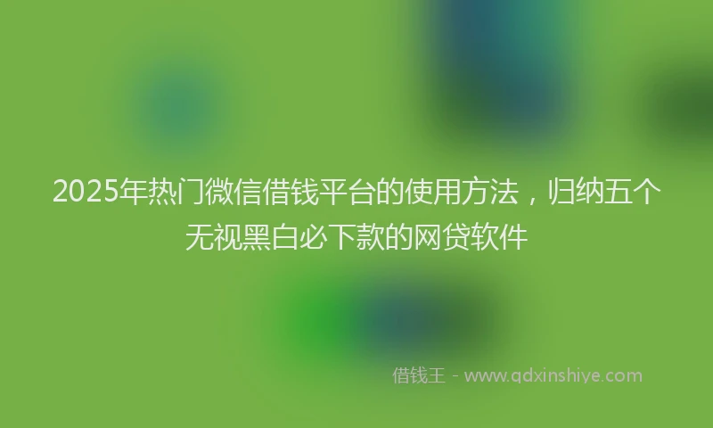 2025年热门微信借钱平台的使用方法，归纳五个无视黑白必下款的网贷软件
