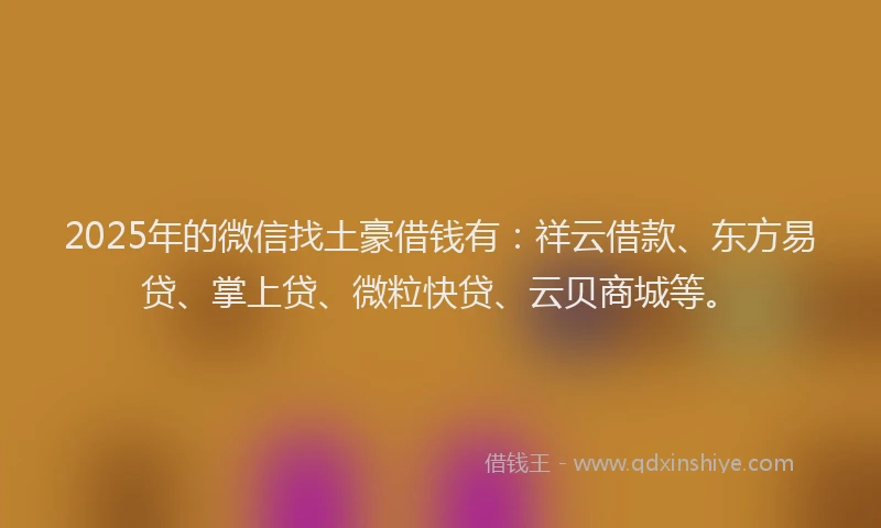 2025年的微信找土豪借钱有：祥云借款、东方易贷、掌上贷、微粒快贷、云贝商城等。