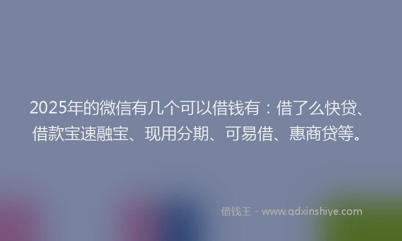 2025年的微信有几个可以借钱有：借了么快贷、借款宝速融宝、现用分期、可易借、惠商贷等。