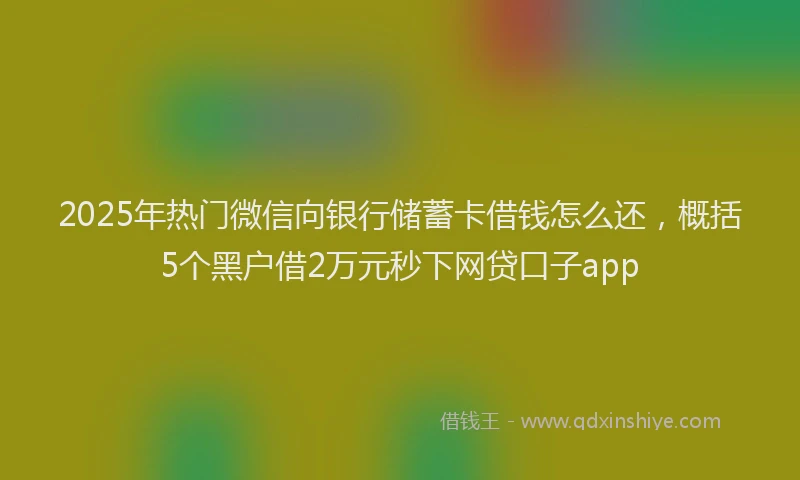 2025年热门微信向银行储蓄卡借钱怎么还，概括5个黑户借2万元秒下网贷口子app